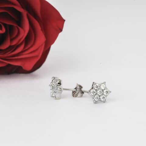 Silver Nakshatra Studs